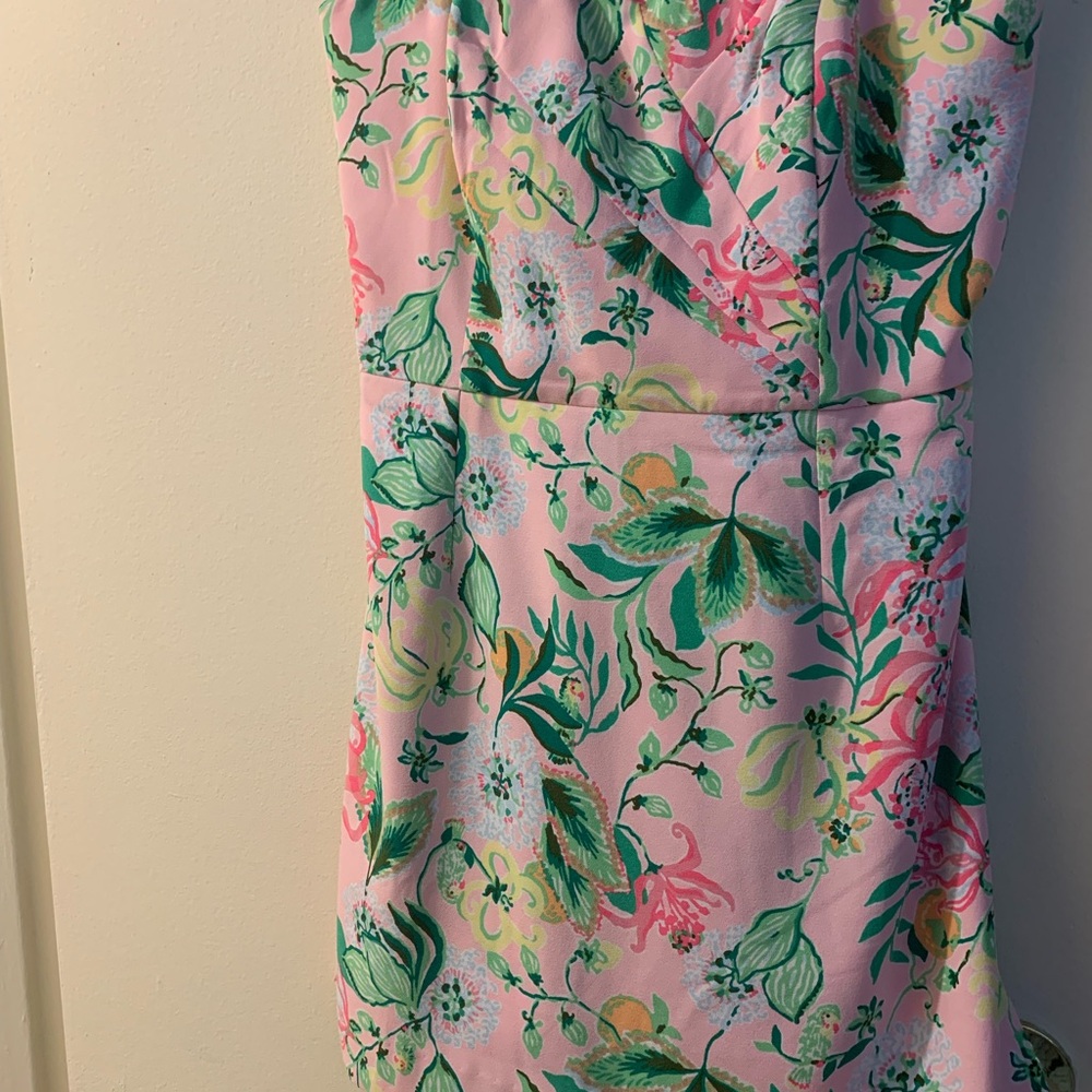 Lilly Pulitzer Pink and Green Floral Dress